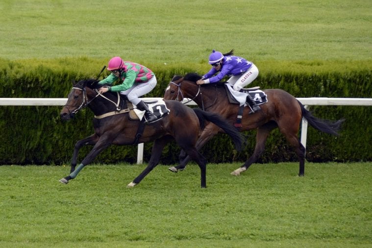 Cheltenham Festival