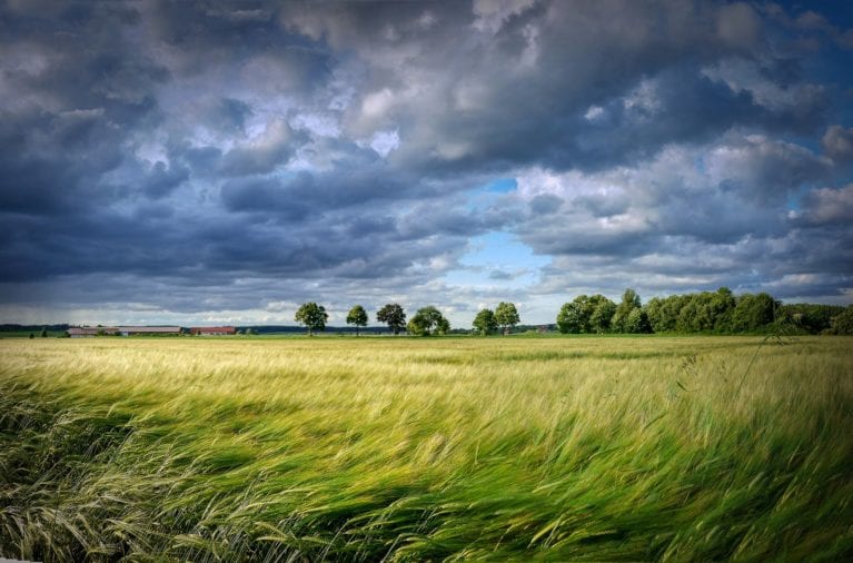health of the planet