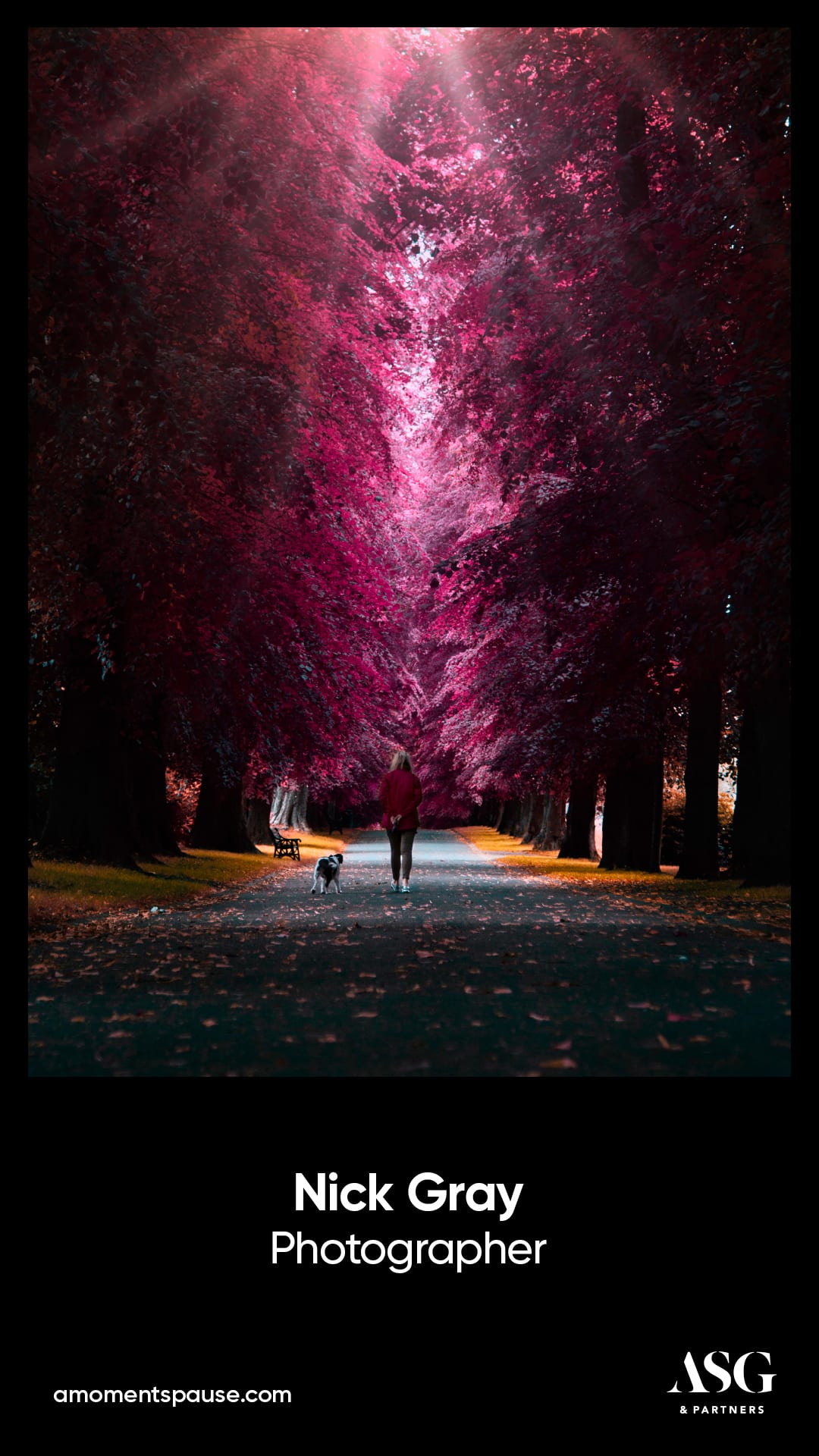 a moment's pause