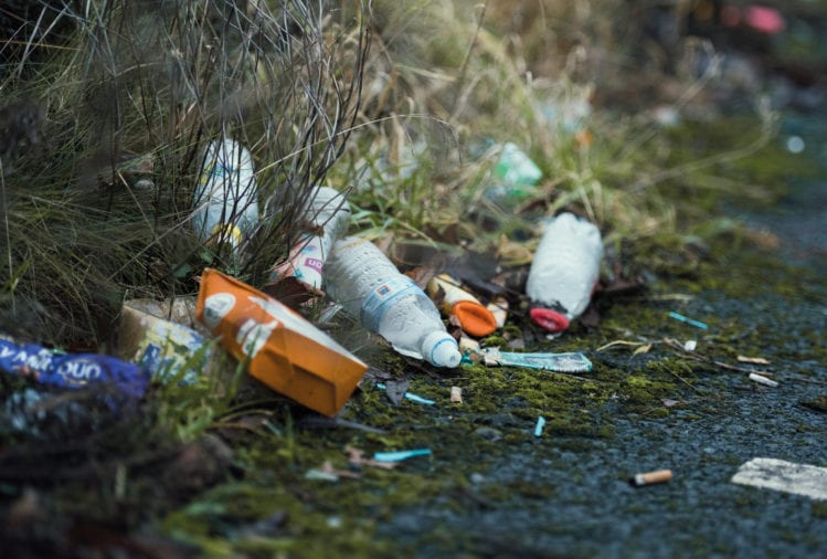 World Environment Day 2020