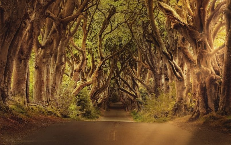 Northern Ireland’s hotels