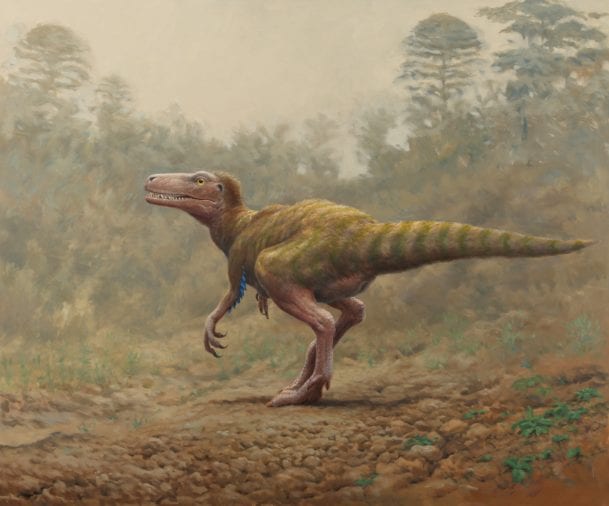 dinosaur Ireland