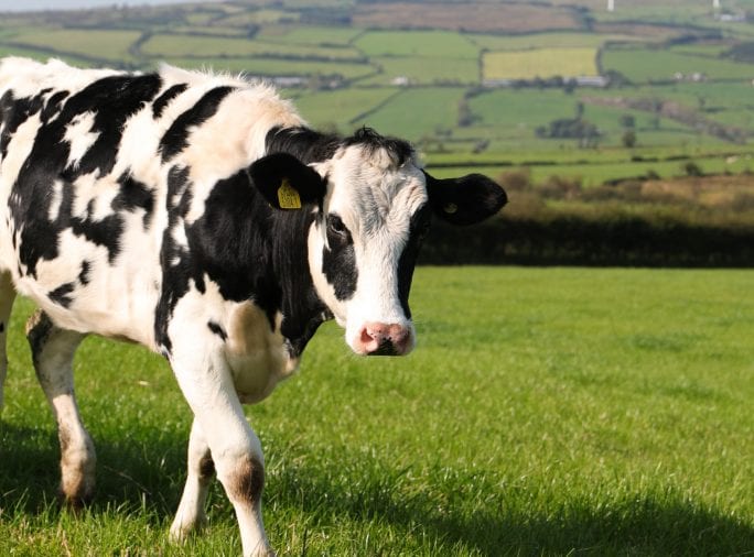 Sustainable Dairy Fact Book