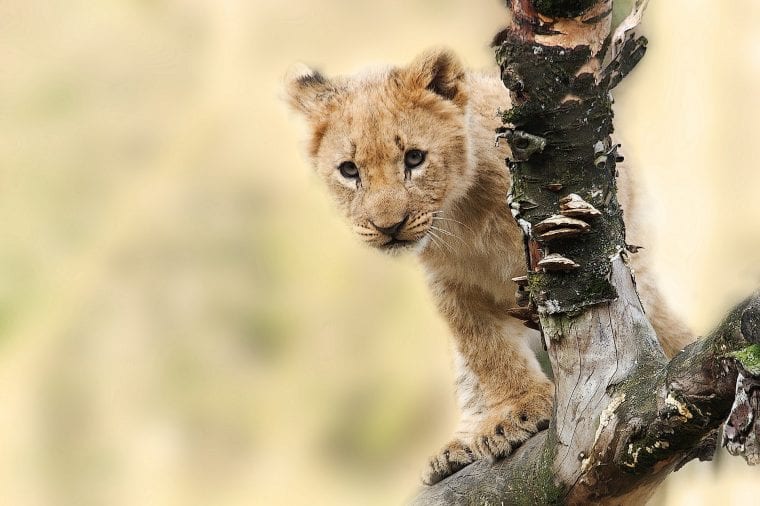 places to visit in Tanzania