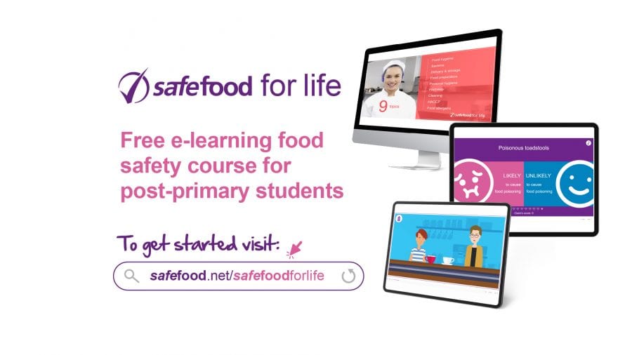 basic food safety