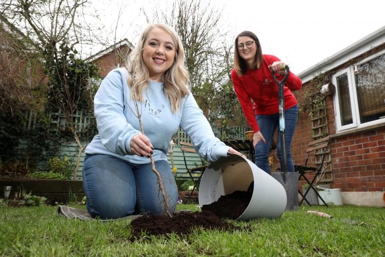 Woodland Trust NI