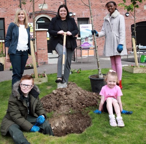tree planting initiative