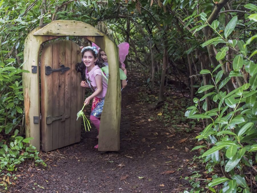 Galgorm Castle Fairy Trail