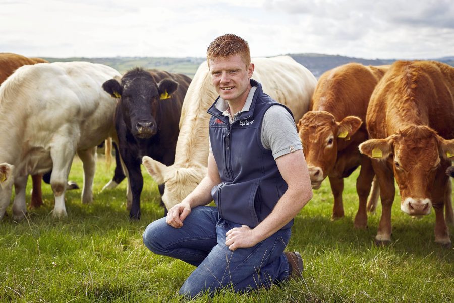 M&S Balmoral Show