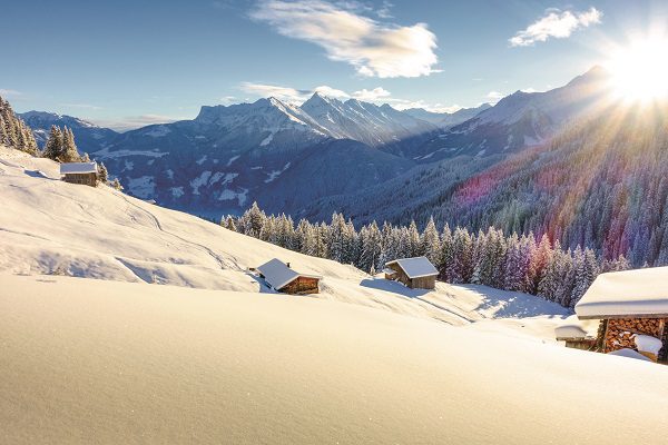 half price ski carriage