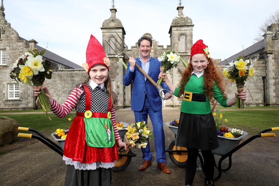 Garden Show Ireland