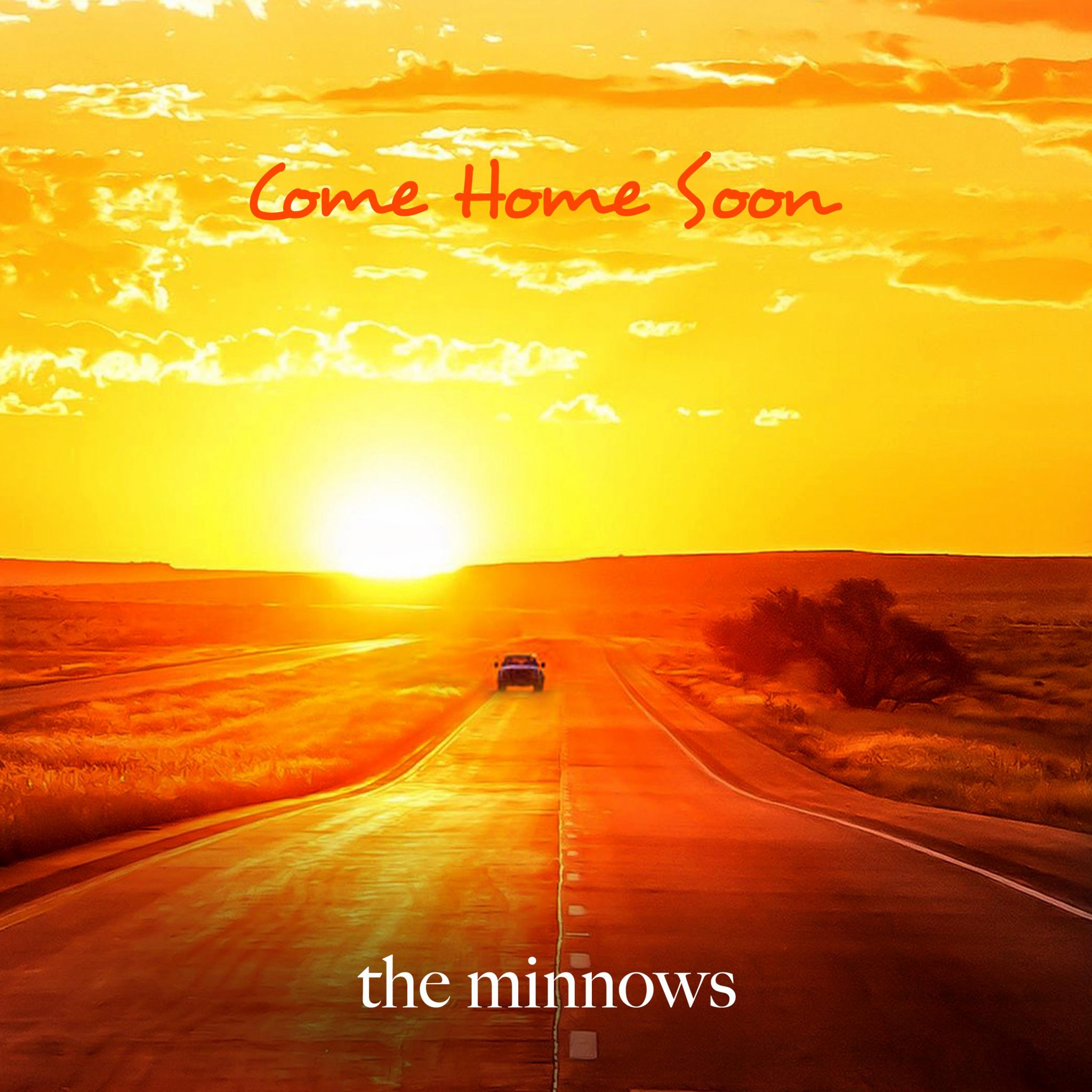 The Minnows