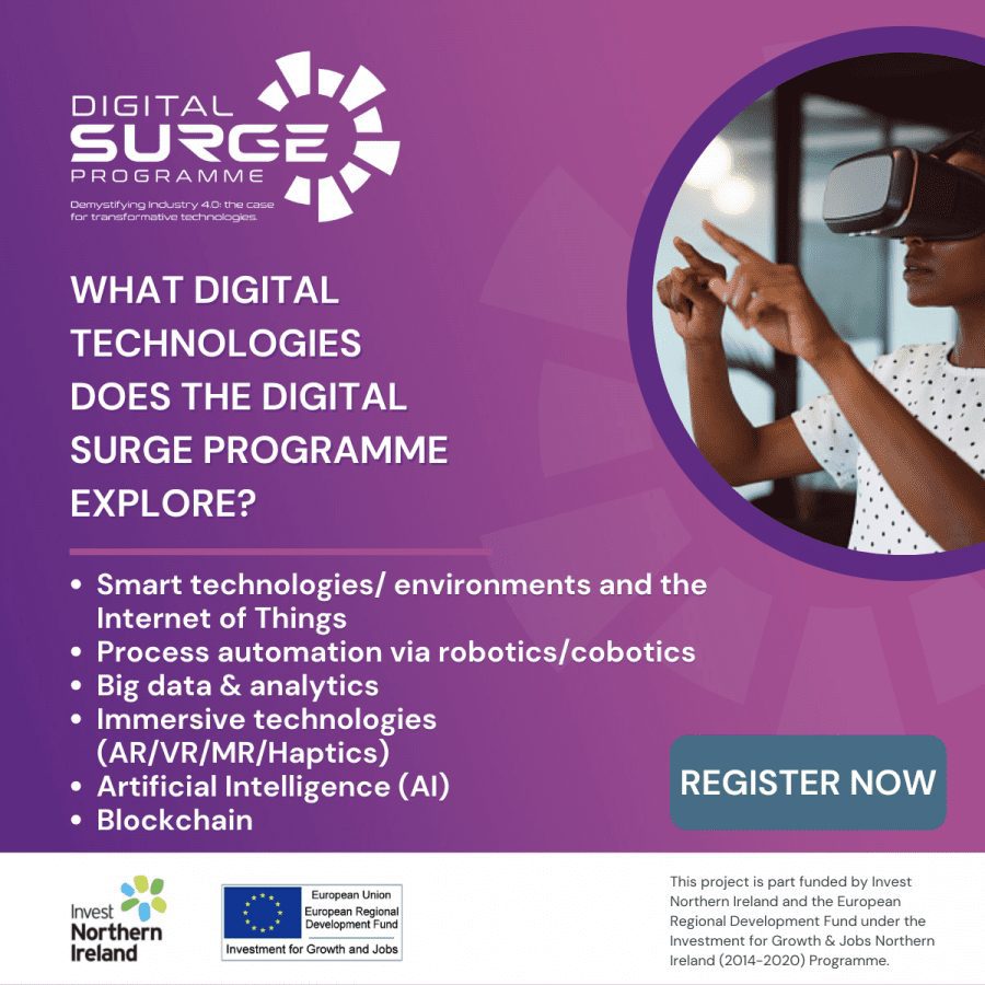 Digital Surge Programme
