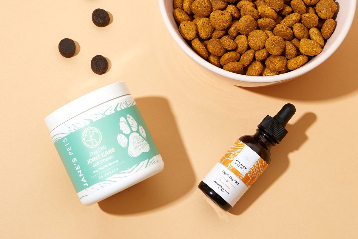 CBD for Dogs