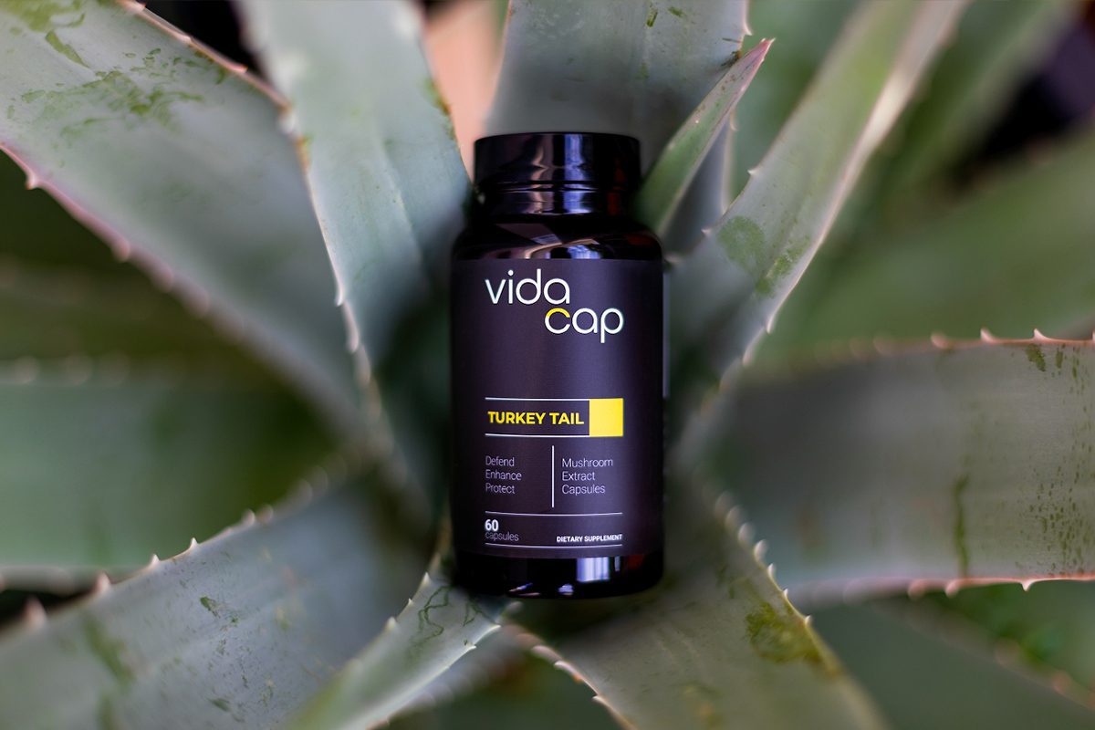 Mushroom supplements 