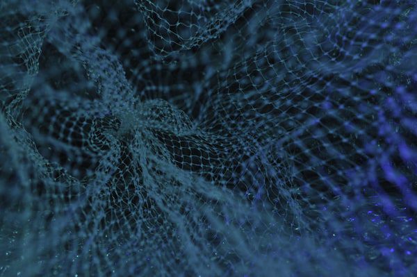 data breach management