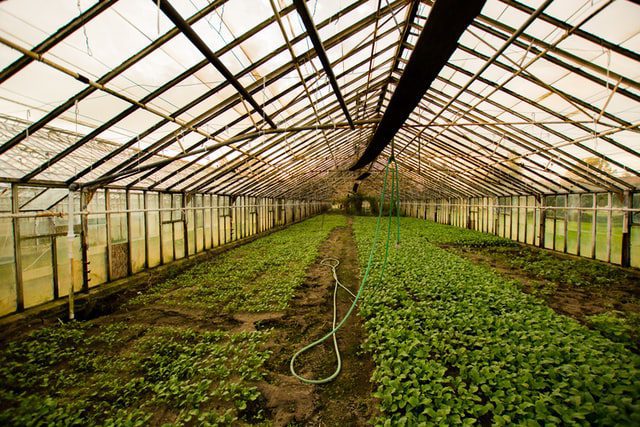 \Technologies horticulture