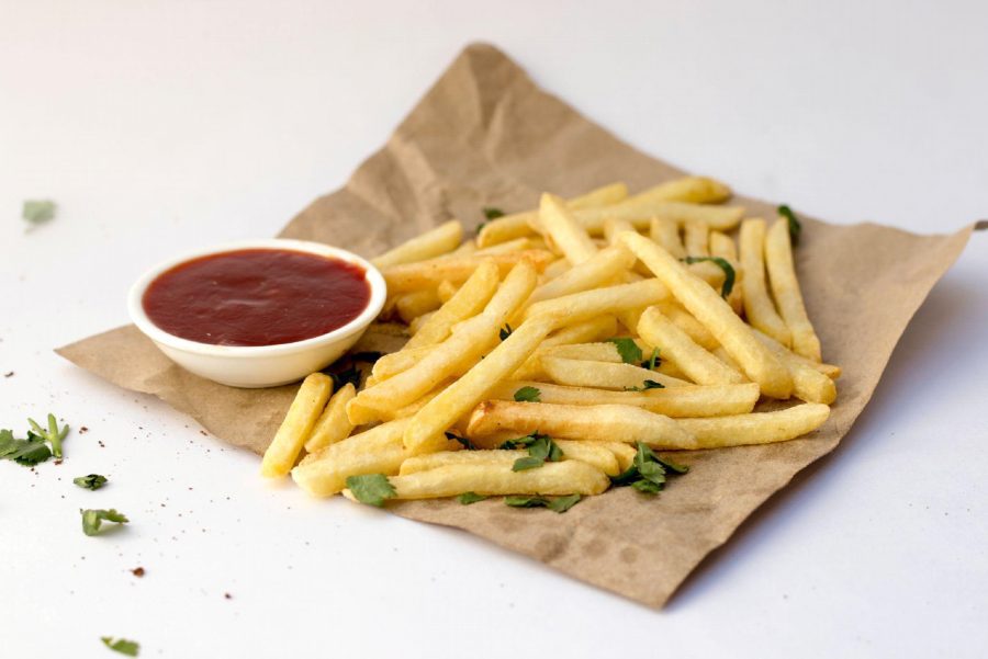 commercial fryer