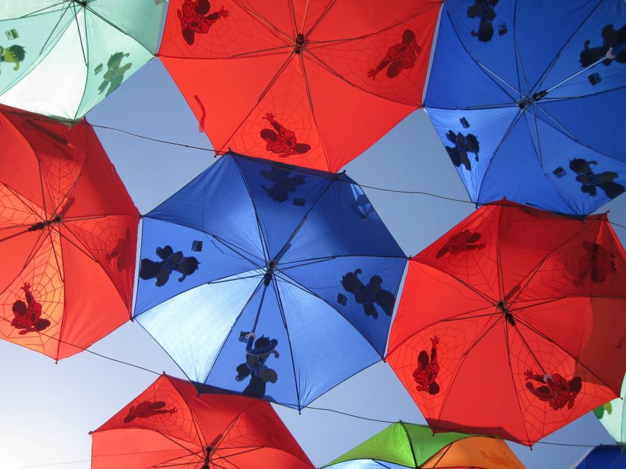 Canopies for Outdoor Events