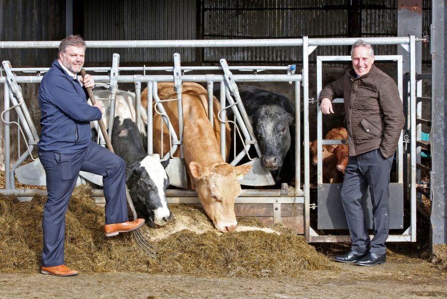 The Gallaher Trust