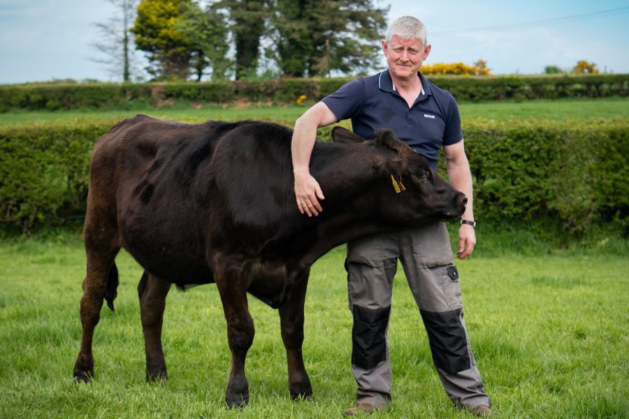 Select Farm Awards