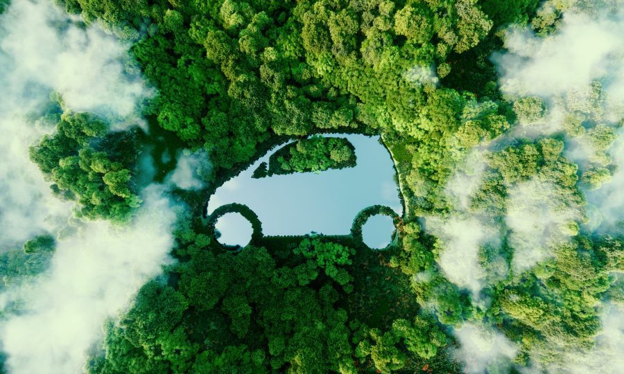 The Green Insurer