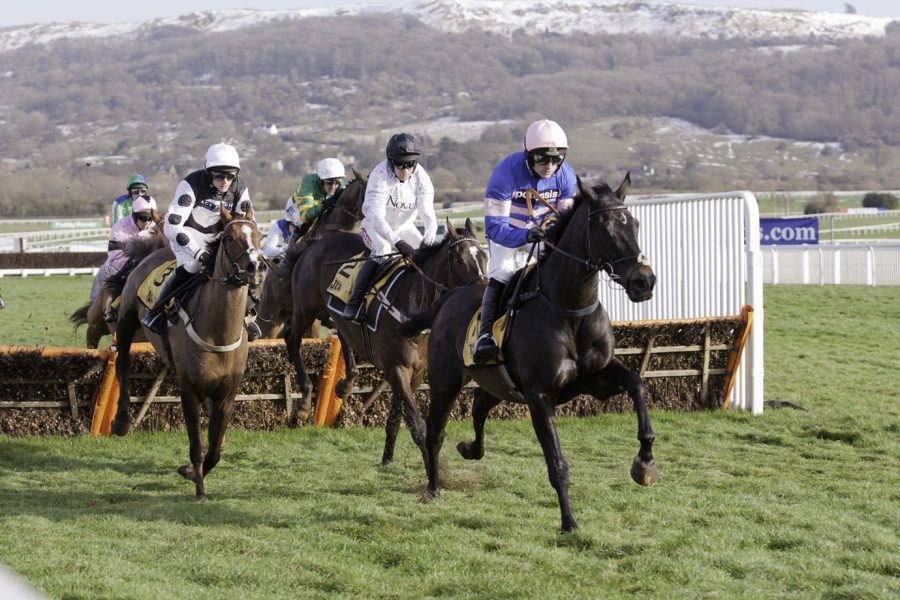 Albert Bartlett Novices' Hurdle