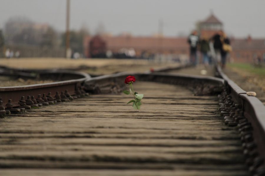 Auschwitz tour