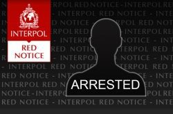 Interpol 