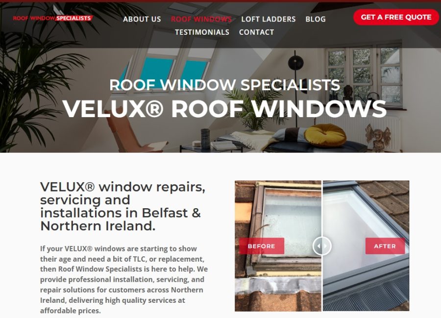 Roof Window Specialists
