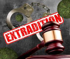 INTERPOL extradition