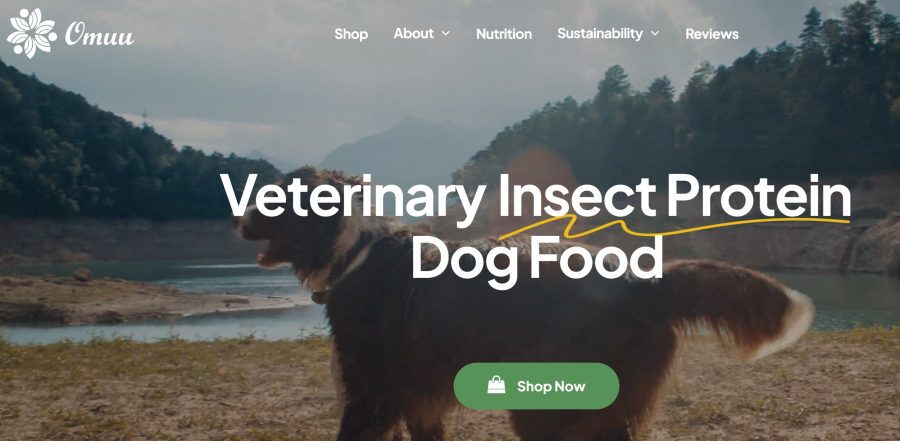 Pet Food