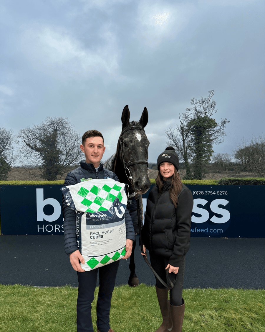 Bluegrass Horse Feed