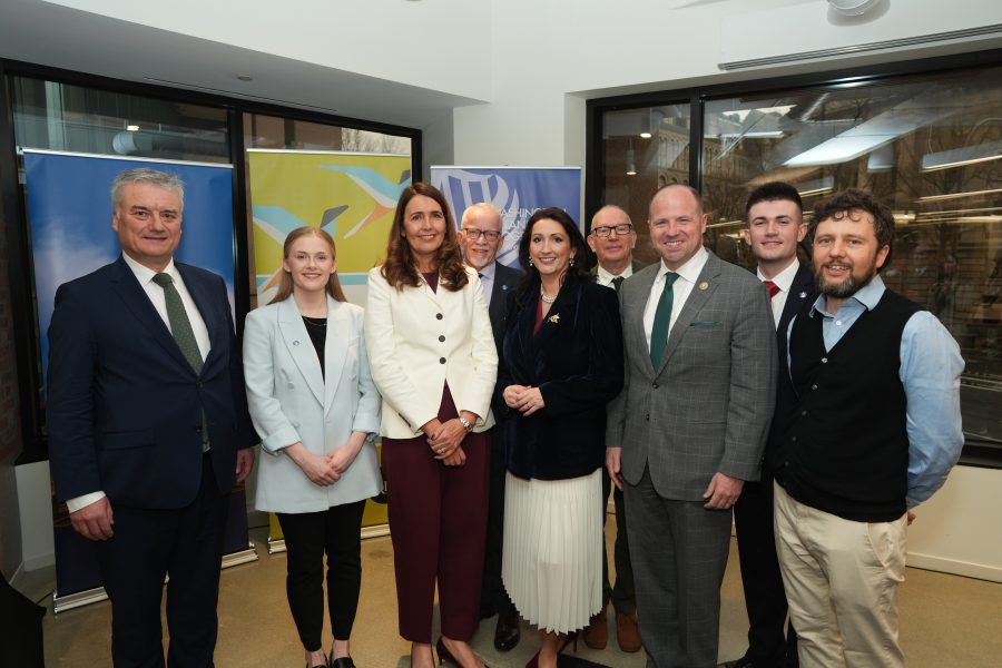 Washington Ireland Program