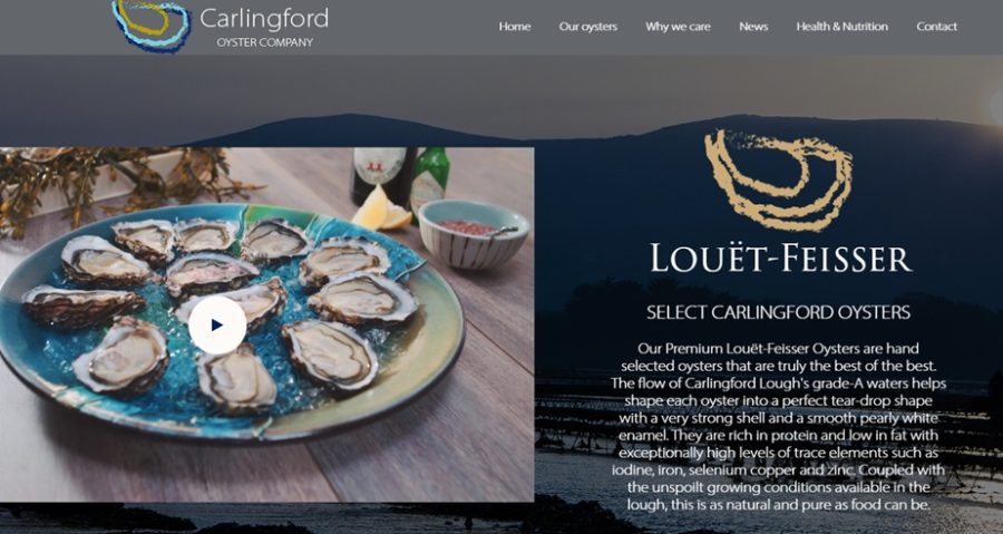 Oysters