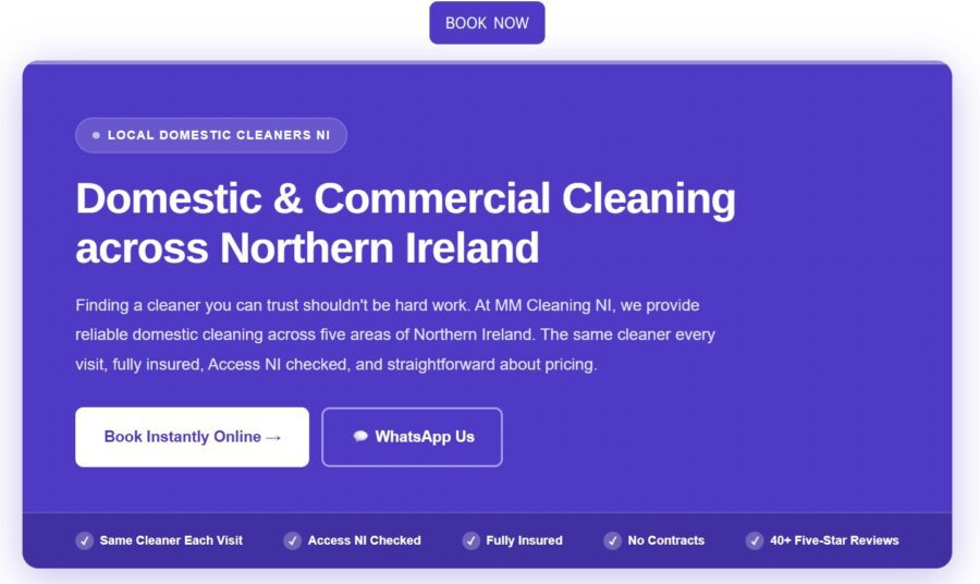 reliable cleaner